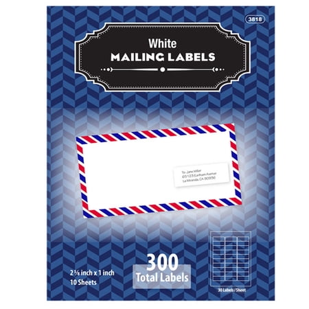 BAZIC Mailing Label 2 5/8"X1" White Shipping Labels for Printers (300/Pack), 1-Pack