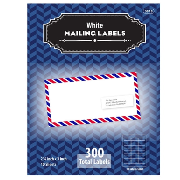BAZIC Mailing Label 2 5/8"X1" White Shipping Labels for Printers (300/Pack), 1-Pack