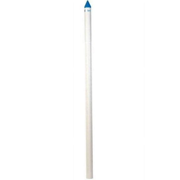 BBP200-5 2 in. 5 ft. Blue Well Point