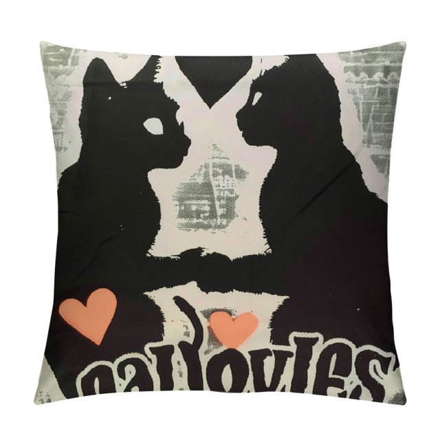 BCIIG All You Need is Love and a Cat Lover Quote Pillow Covers