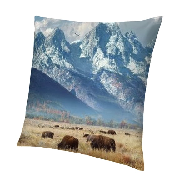 BCIIG Bison Mountains Grazing Aesthetic Decorative Pillowcase 1PC 22x22in