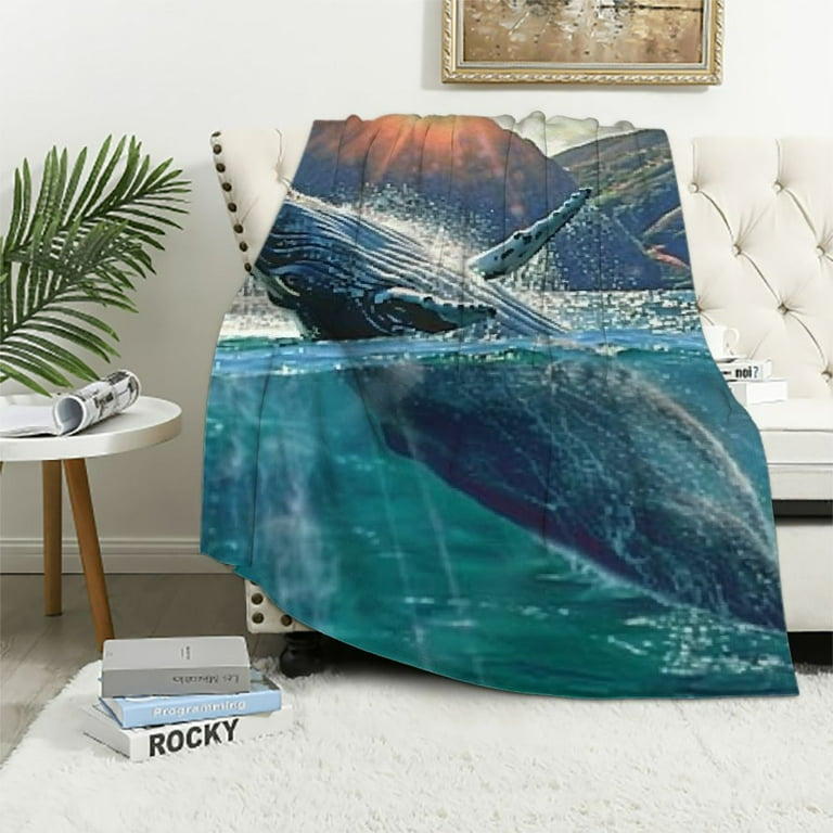 Wool and water blankets new arrivals