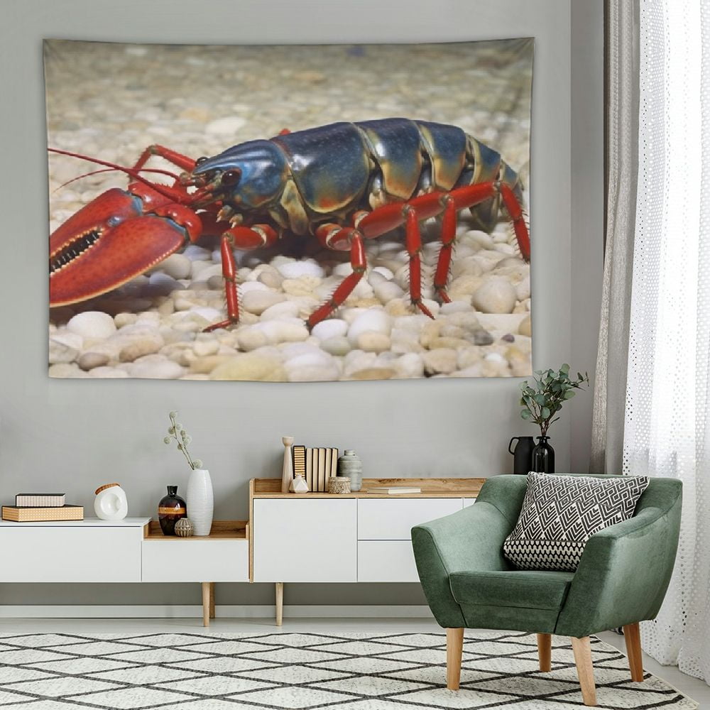 BCIIG Canvas Wall Art Shrimp Posters Pictures Wall Decor Animal Prints ...