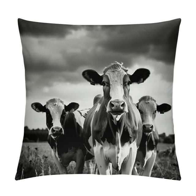 BCIIG Cows Field Black and White Graphic Decorative Throw Pillow Cover