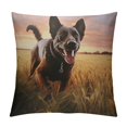 BCIIG Dog Sunset Field Graphic Decorative Cushion Throw Pillow Cover