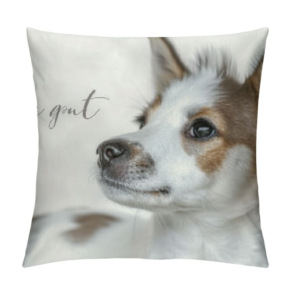 BCIIG Dog Theme Decorative Short Plush Throw Pillow Cover for Home