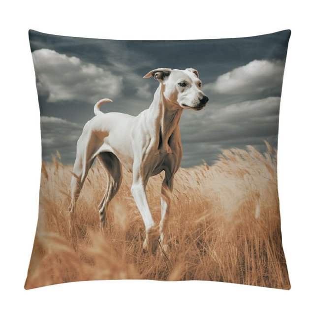 BCIIG Dog Theme Decorative Throw Pillow Cover for Home Couch Living