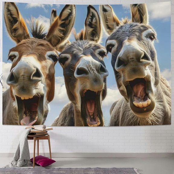 BCIIG Donkeys Sky Open Mouth Tapestry Wall Hanging Unique Style for Home Decor, Art for Living Room Bedroom Apartment Farmhouse Dorm, 4 Sizes Available 40x30inch