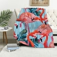 thumbnail image 1 of BCIIG Flamingos Warm Lightweight Blanket Soft Fleece Blankets All Seasons Sofa Decor Gifts 40x50in, 1 of 6