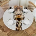 thumbnail image 1 of BCIIG Funny Giraffe Round Table Cover Stain Resistant & Washable Indoor Outdoor Tablecloth Kitchen Dining Perfect for Wedding Parties 100% Polyester Fiber 42"-46, 1 of 8