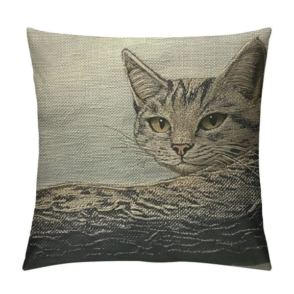 BCIIG Hand-Drawn Cat Face Throw Pillow Covers Cute Cat Sleeping Pillow Cushion Cases Square Pillowcases for Sofa Couch Bedroom Living Room Car 24x24in
