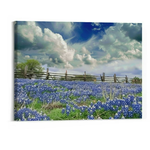 BCIIG Large Wall Art Ready to Hang 20"x16" clouds over texas bluebonnets landscape stock pictures royalty free Canvas Print Artwork Wall Art Pictures Home Office Wall Dcor Modern 20x16in