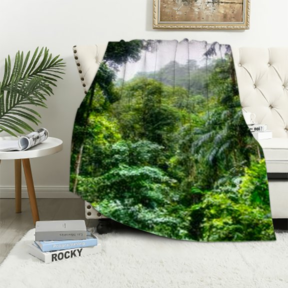 BCIIG Lightweight Flannel Blanket Soft Plush for All Seasons 3 Sizes 50x60in