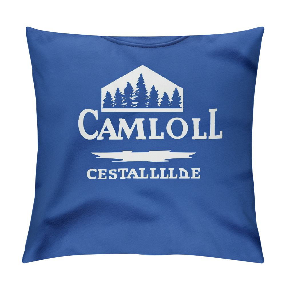 BCIIG Logo Text Art Graphic Decorative Cushion Throw Pillow Cover for