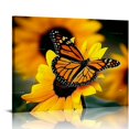 thumbnail image 1 of BCIIG Monarch Butterflies On Sunflowers Decorative Wall Art  Pictures Canvas Prints plant Colorful  for Home Art Print for Living Room Bedroom Unframed 20"x16" 20x16in, 1 of 6