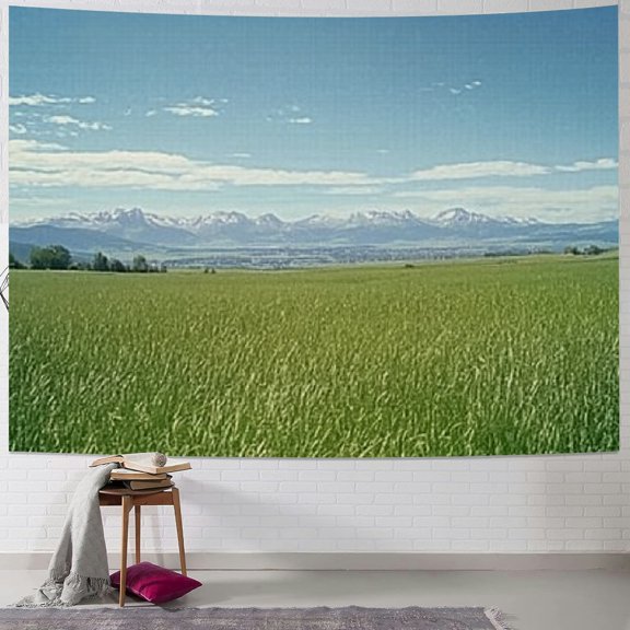 BCIIG Mountains Grass Sky Tapestry Wall Hanging Home Decor Art 40x60inch