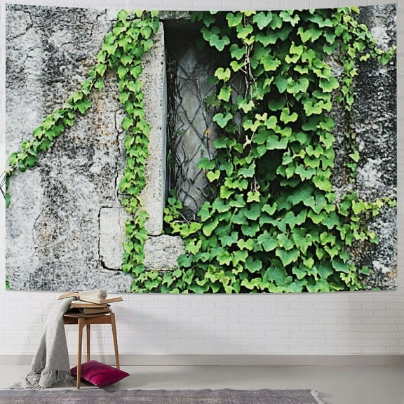 BCIIG Mystic Tapestry, Ivy Plant on Wall Aged Antique Looking Picture Frame as a Window Creative Art, Wall Hanging for Bedroom Living Room Dorm Decor 40x60inch