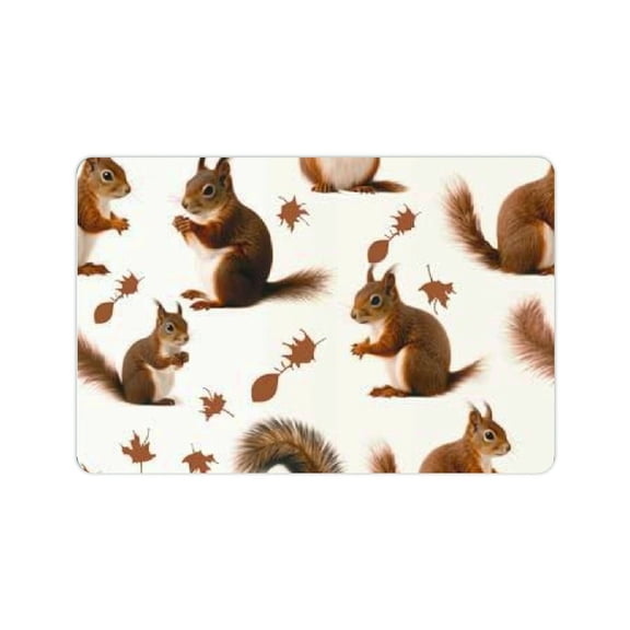 BCIIG Pattern Cute Squirrel Home Diatom Mud Bath Rug Quick Drying Absorbent 24x16in