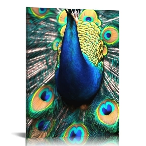 BCIIG Peacock Feathers Wall Decor Canvas Art for Living Room Bedroom 16x20 in