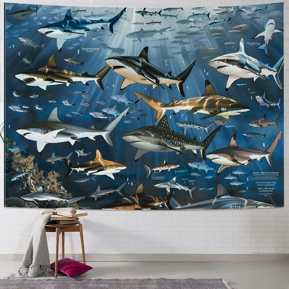 BCIIG Pop Charts | Shark Art Shark Species Illustration Prints | Marine ...