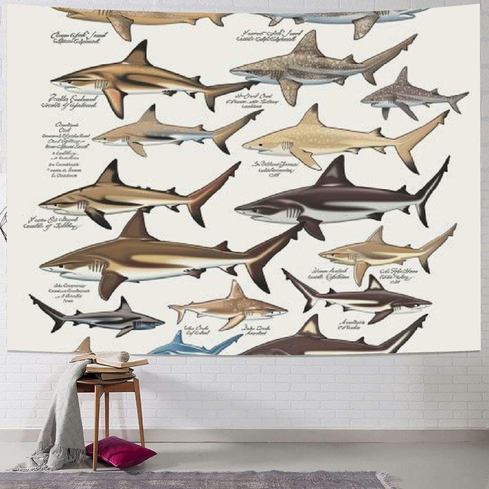 BCIIG Poster - Sharks, Skates, Rays & Chimaeras of The Pacific ...