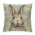 thumbnail image 1 of BCIIG Rabbit Daisies Beatrix Potter Graphic Decorative Cushion Throw Pillow Cover for Home Decor - Spring Pillow Case 1PC 20x20in, 1 of 5