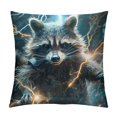 BCIIG Raccoon Lightning Bolt Movie Graphic Decorative Cushion Throw