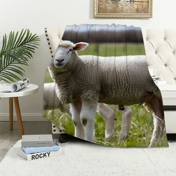 BCIIG Sheep Baby Sheep Warm Lightweight Blanket Soft Fleece Throw Blanket Living Rooms Sofa Decor Cow Gifts Blanket All Seasons Soft Plush Blankets for All Seasons 40x50in