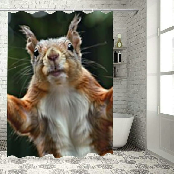 BCIIG Squirrel Bathroom Decor Set with Hooks, Colorful Luxurious Graphic Print Polyester Fabric Fashion Shower Curtain Set, 100% Polyester Home Bathtubs Bathroom Decoration 60x72
