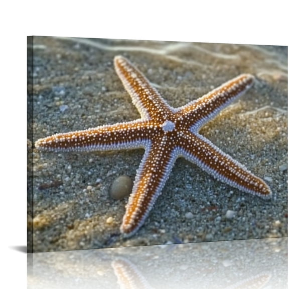 BCIIG Starfish Beach Sand Wall Decor For Bedroom Living Room Office Home Decor 16x12in