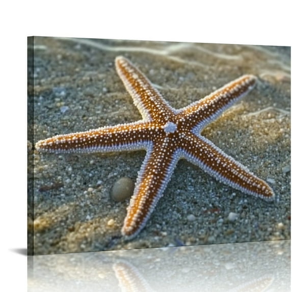 BCIIG Starfish Beach Sand Wall Decor For Bedroom Living Room Office Home Decor 16x12in