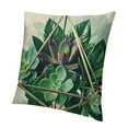thumbnail image 1 of BCIIG Succulent Pillows   Succulent Pillow Case - Boho Throw Pillow 22x22in, 1 of 5