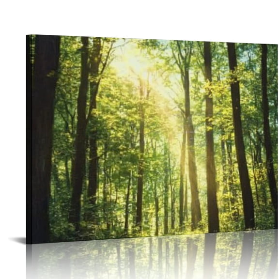 BCIIG Sunlight Theme Canvas Wall Art for Living Room Bedroom Office Home Decor 16x12in