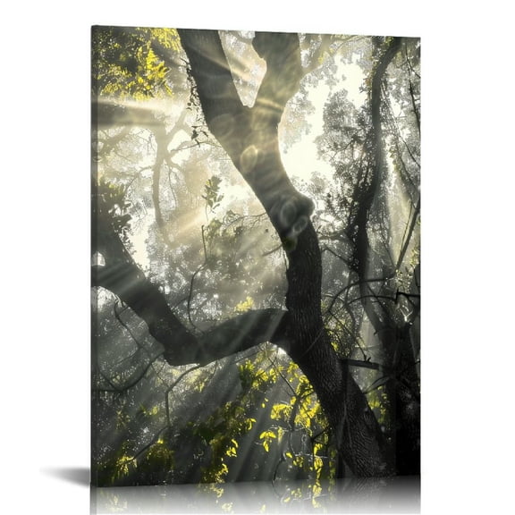 BCIIG Sunlight Through Branches Fine Art Aesthetic Poster & Print Wall Painting for Home Office Decor Pictures Wall Art Canvas Living Room Bedroom 12x16 in