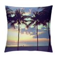 BCIIG Sunset Palm Trees Beach Decorative Throw Pillow Cover for Home