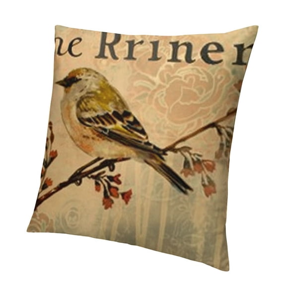 BCIIG Vintage Bird Pillow Covers Birds On The Branch with Inspirational Words/Sing/Love/Dream/Fly Cushion Cover Home Decorative Pillowcases 24x24in