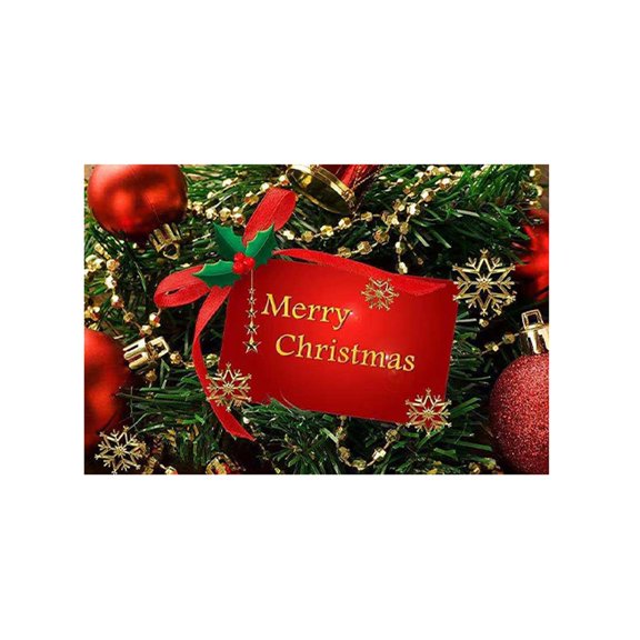 BCMMKLPP Christmas Rug - 15.7*23.6Inches Washable Non-Slip Carpet for Living Room Throw Soft Area Rug for Bedroom, Snowflake Holiday Decor Accent Floor Rug Clearance!