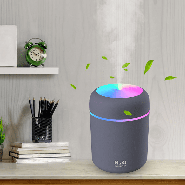 H2o humidifier outlet filter