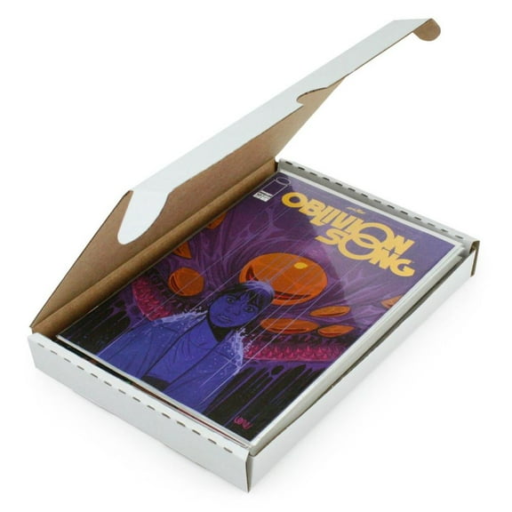 BCW Comic Book Shipping Box/Mailer - Holds 10 Comic Books