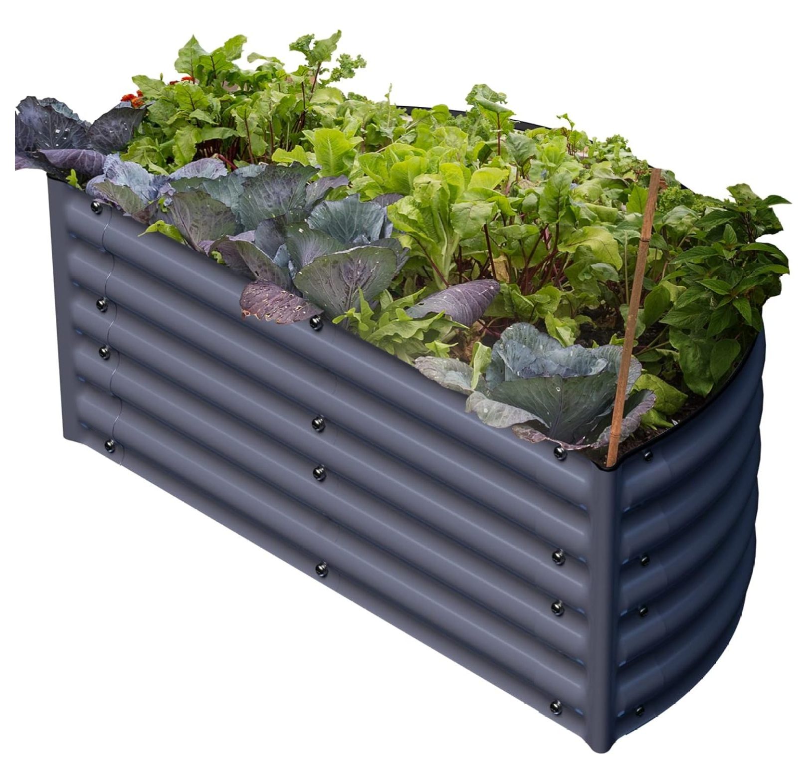 BCYCSJ Galvanized Raised Garden Bed Kits 17" Tall Large Metal Raised
