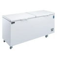 thumbnail image 1 of BD/BG-620 Commercial Chest Freezer, 1 of 8