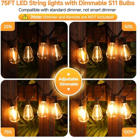 BDIUA-75FT LED Outdoor String Lights S11 Dimmable Patio Light, with 22+2 Waterproof Shatterproof Edison 2700K Bulbs for Outside Backyard Deck, Black