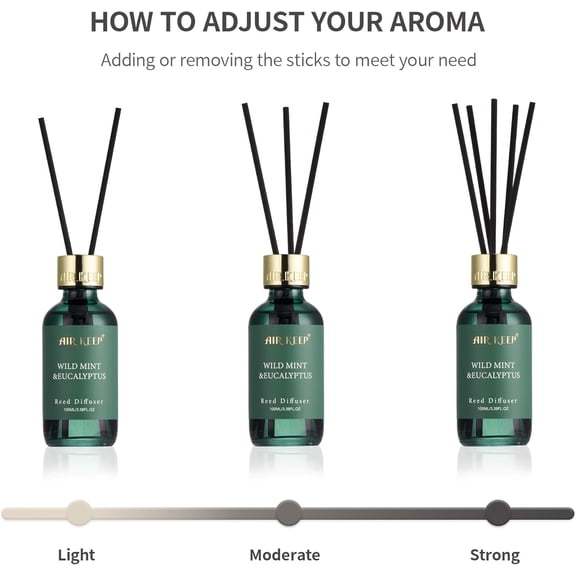 BDIUA-Reed Diffuser Set, 3.38 fl oz (100 ml) - Wild Mint&Eucalyptus Oil Diffusers with 8 Reed Sticks, Home Fragrance Reed Diffuser for Bathroom Shelf Decor