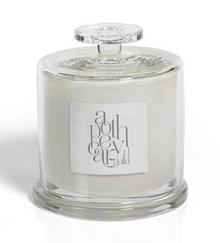 Apothecary Guild Candle 11oz Sea Salt & Coastal Mist main image 1