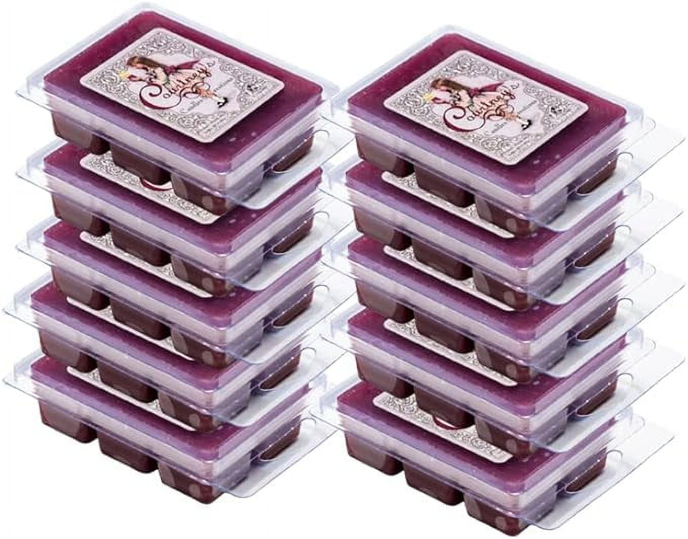 BEACHWOOD 10 Pack Mixer Melt or Wax Tart by Courtneys Candles