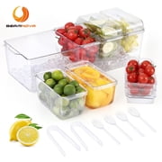 BEAMNOVA Ice Chilled Condiment Server with Lid, 5 Condiment Serving Trays, Fruit Salad Garnish Condiment Containers for Bar, Party, and Serving 1 Pack