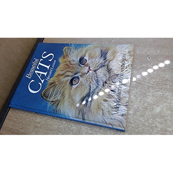 Pre-Owned BEAUTIFUL CATS Paperback