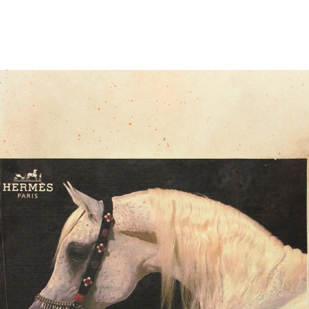 BEAUTIFUL FASHION WHITE HORSE - 14"x14" Canvas Artwork - Multi-Color 14 x 14