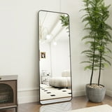 NeuType 59 in x 20 in Black Contemporary Full Length Floor Leaner ...