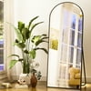 BEAUTYPEAK Arched Full Length Floor Mirror 64"x21.